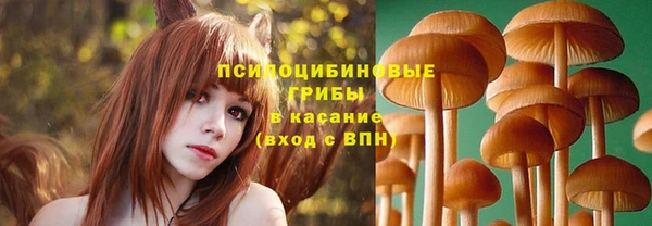 стафф Верхний Тагил